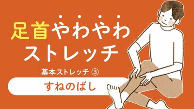 転倒や反り腰防止に。ふくらはぎとすねはセットでほぐす。張りを軽減する「すねのばし」【1日3分足首やわやわストレッチ・３】
