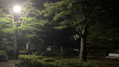 あなたの地域では聞こえる？秋の夜、樹上から「リーリーリーリー…」。ちょっとうるさい鳴き声の正体は？