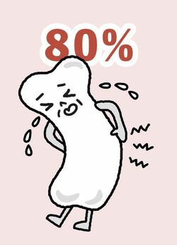 80%