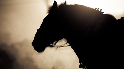 オグリキャップの奇跡的な逆転劇となったマイルチャンピオンシップ。最後まで競ったバンブーメモリーの武豊は負けても満足気だった