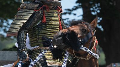 平安時代最大の対外危機「刀伊の入寇」。400人以上が拉致、対馬・壱岐は壊滅状態に…『光る君へ』で竜星涼さん演じる藤原隆家は来襲した＜賊徒＞をどう迎撃したのか