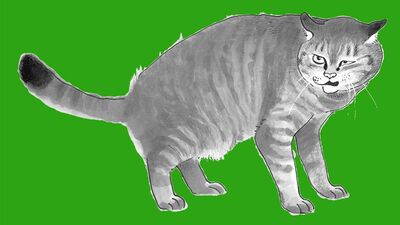 伊藤比呂美「西国西海岸三ヵ所娘巡礼」