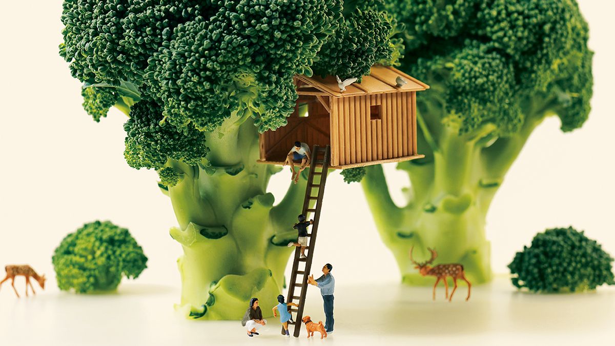 田中達也「ブロッコリーの森は世界共通。＜見立て＞を追求するきっかけ