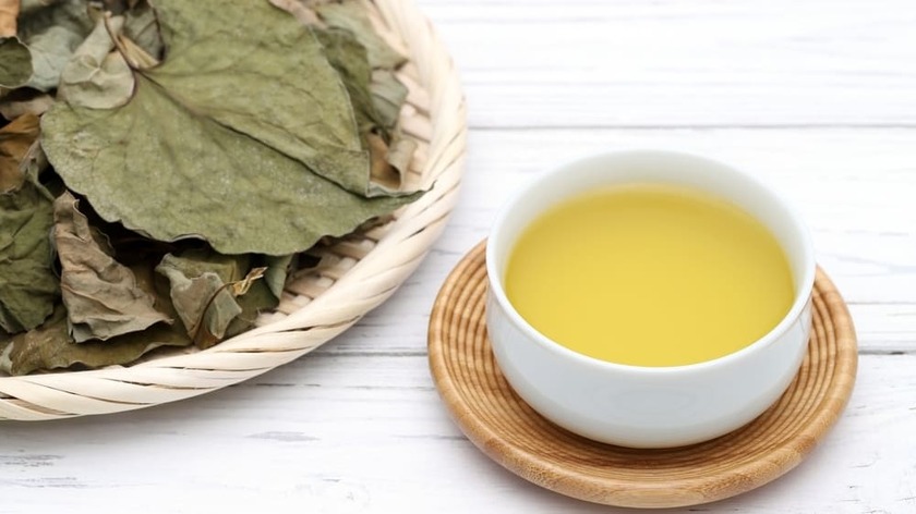 ドラッグストアでよく見かける＜ドクダミ茶＞がまさかの事態を…専門家「ある臓器に障害を抱える人は植物起源の健康食品の摂取に注意を」【2026編集部セレクション】