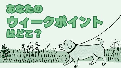 「立つ」「座る」30秒間で何回できる?<姿勢・関節・食・脚力>あなたのウィークポイントは?「歩く力」チェックリスト
