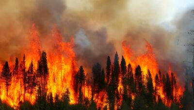 カナダの山火事でニューヨークでは深刻な大気汚染。湿潤な日本でさえも、乾燥が森林火災を引き起こす