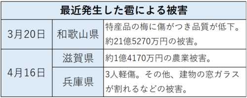 最近発生した雹による被害。3月20日、和歌山県では、特産品の梅に傷がつき品質が低下。約21億5270万円の被害。4月16日、滋賀県では約1億4170万円の農業被害。同日、兵庫県でも3人が軽傷を負う、建物の窓ガラスが割れるなどの被害が発生。