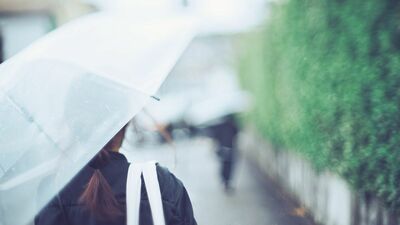 雨女の私は、雨は好き。静かで落ち着いた雨の日の空気が心地よく、やる気もアップしていたのに、最近、憂鬱になってきたのは年のせい…？