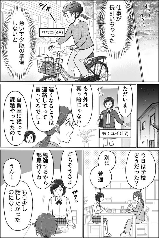 母の推し活で狂った家族
