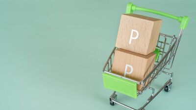 スマホが苦手でも、現金払いの人でも、気軽に「ポイ活」できる<楽天ポイント>と<dポイント>さらにお得に貯めるには?