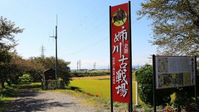 信長・家康と長政・義景が激しく激突「血で赤く染まった」姉川の戦いだが、実は命運を懸けるような決戦ではなかった？むしろ注目すべき点は…本郷和人が『豊臣兄弟！』を解説