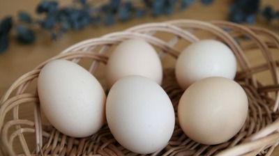 多くの人が「卵はひとつのカゴに盛るな」の意味を勘違いしていた…「この資産は必ず守るべき」と思うあなたが必ずすべきこと