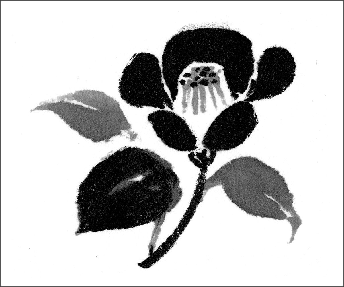 3ページ目）【筆ペンで気軽に水墨画3】四季折々の草花や生き物に挑戦