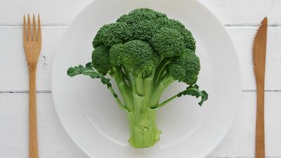 2026年4月、ブロッコリーは約50年ぶりの追加となる国の「指定野菜」に！赤ちゃんであるブロッコリースプラウトは花粉症対策にも！　