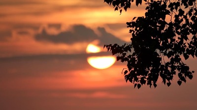 心筋梗塞とがんを経験した養老孟司「人が生まれたときを1としたら0になるまで生きている。今年で89歳になる僕は0.1くらい生が残っているが、逆に言うと0.9死んでいる」