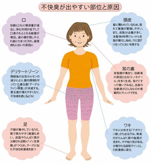 不快臭がでやすい部位と原因の図