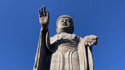 「訛っている自覚なし」「自分でうっかり<いばらぎ>と発音」「310を選びがち」11月13日は茨城県民の日!【県民あるある】大特集