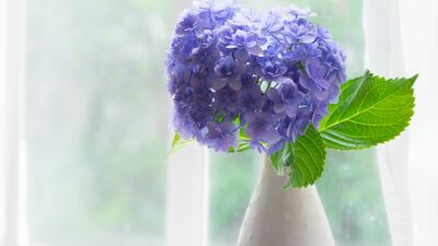 クローゼットの＜ぎゅうぎゅう収納＞がカビの原因に？キッチンや下駄箱にも湿気の落とし穴が…。梅雨どきに見直したい「小さな片づけ」のコツ