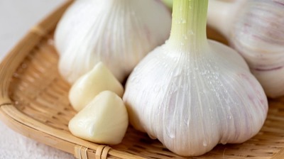 新ニンニクは6月が旬!「ニンニクは漢方にも用いられる生薬。血液サラサラなどさまざまな効果が…」効能とおススメ料理を和田秀樹が解説