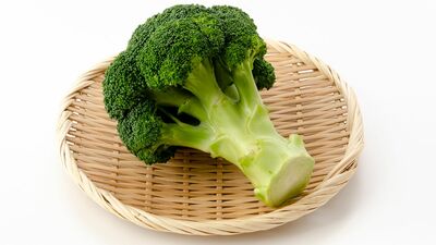 ブロッコリーは茎がおいしい？指定野菜に選ばれた理由。カリフラワーとの違いは？意外と知らないブロッコリーのことを深掘り