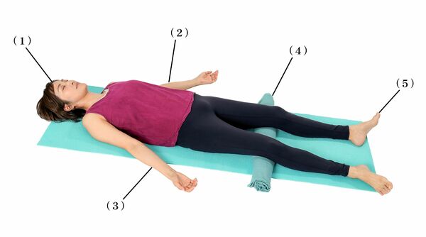 サントーシマ香