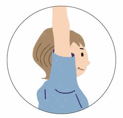 W字トレーニング