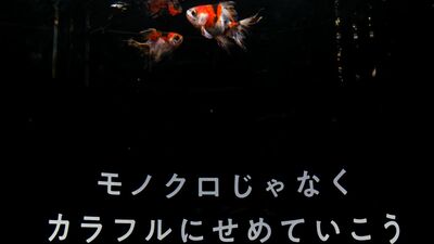 横浜中華街「横浜開運水族館フォーチュンアクアリウム」おみくじの占いに従い88の水槽を巡った先にある衝撃的なものとは？