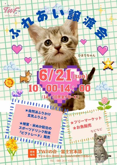 ふれあい譲渡会ポスター