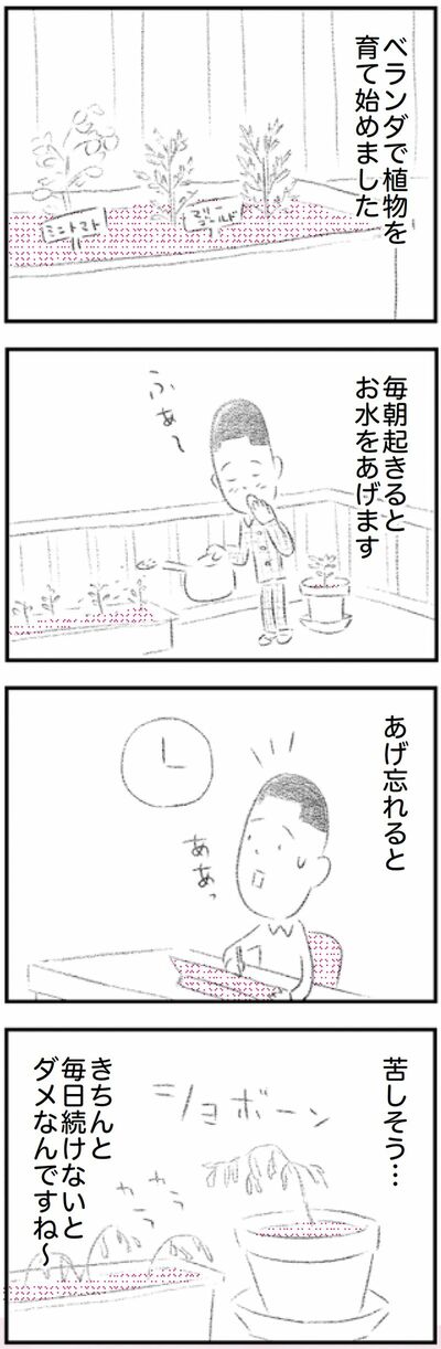 漫画「ご自愛さん」矢部太郎