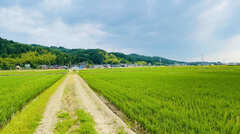 養老孟司　食と安全を備えた＜田舎＞が日本から消えたワケ。「昭和30年代から全国の町に＜銀座＞が出来て…」