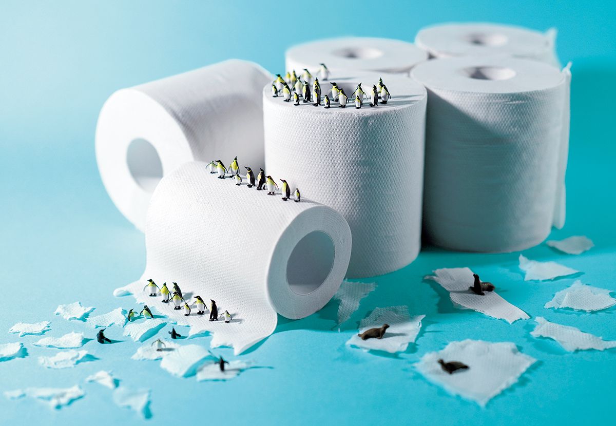 トイレットペーパーのしんです これは トイレットペーパーの しん｜福音館書店