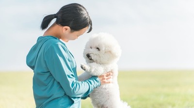 「夫と同じお墓は嫌だ」「妻と犬を一緒に納骨してあげたい」大愚和尚が答える、お墓との向き合い方