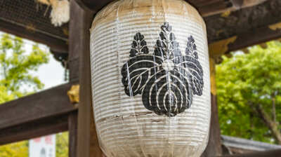 『豊臣兄弟！』秀長が初陣から見せた〈目覚ましい活躍〉とは？本郷和人「秀吉が鵜沼城で急襲を受けた時、秀長は兄を退却させるために…」