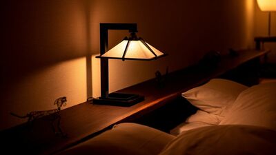 温泉旅館でくつろいだ夜、ほろ酔いでベッドに横になると聞こえてきたのは…。目を開けるとピタリとやむその轟音に、おびえたまま朝を迎え