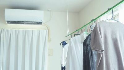 収納の大問題「詰め込みすぎ」！クローゼットに本棚、押し入れ。ギチギチのところから気づけばカビが…＜風通し＞を意識した整理術でジメジメ季節を快適に