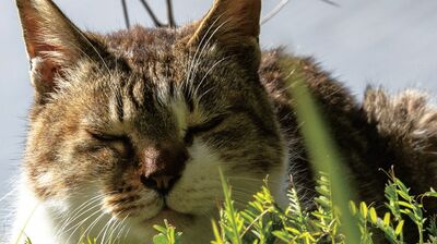 SNSで話題の僧侶が教える、幸せな人の特徴。介護の度合いよりも、「ありがとう」を言えるかどうか