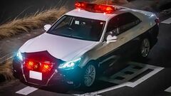 認知症の母が車にはねられた。一緒にいた統合失調症の兄は行方不明になり警察に保護され…。交通事故被害者を「タダメシ」と言う医師