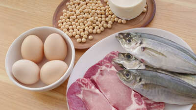 総合内科専門医が更年期対策に<タンパク質>をススメるワケ。「不足するとホルモンがうまくつくられず、自律神経も乱れやすくなる。その結果…」