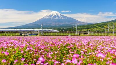 アルバム整理で見つけた、結婚当初の京都旅行の写真。足腰が元気なうちに夫婦で京都の史跡を巡りたいと、50年ぶりの新幹線利用にチャレンジすることに…