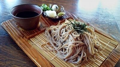 77歳、基本無趣味。テレビやYouTubeで徹夜。朝寝て昼起きる。ベストセラー『定年後のリアル』著者の「なんの変哲もない日々」