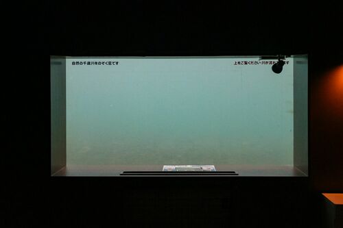 「シュール・ブルー」列島水族館巡り