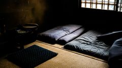 本郷和人『べらぼう』梅毒で命を落とした歌麿の妻・きよ。実際、江戸時代に梅毒でこの世を去った人が多いのは＜墓＞を発掘すれば一目瞭然で…