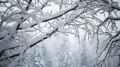 戦争から帰還した父は、雪が降ると豹変した。家中の窓を開け払い「シベリアの強制労働を思い出す。生きて日本に帰るのだと闘志が湧く」と言って…
