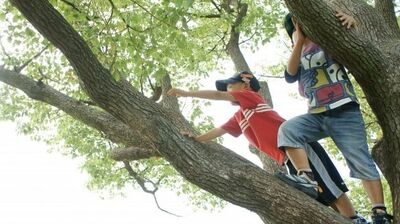 3歳で白血病を発症<余命半年>を告げられた一馬くん。「好きなことを全部叶えてあげましょう」と提案したら自宅に帰ることを選び、そこで…在宅緩和ケア医「身体の元気より心の元気」