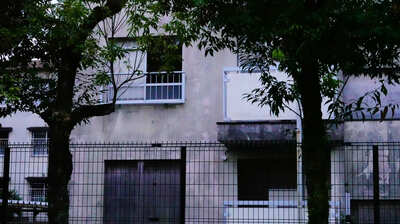 蠅が群がる腐乱死体。死亡は数週間前のはずが、10日前に警察が訪れていた…昆虫法医学者の推理とは