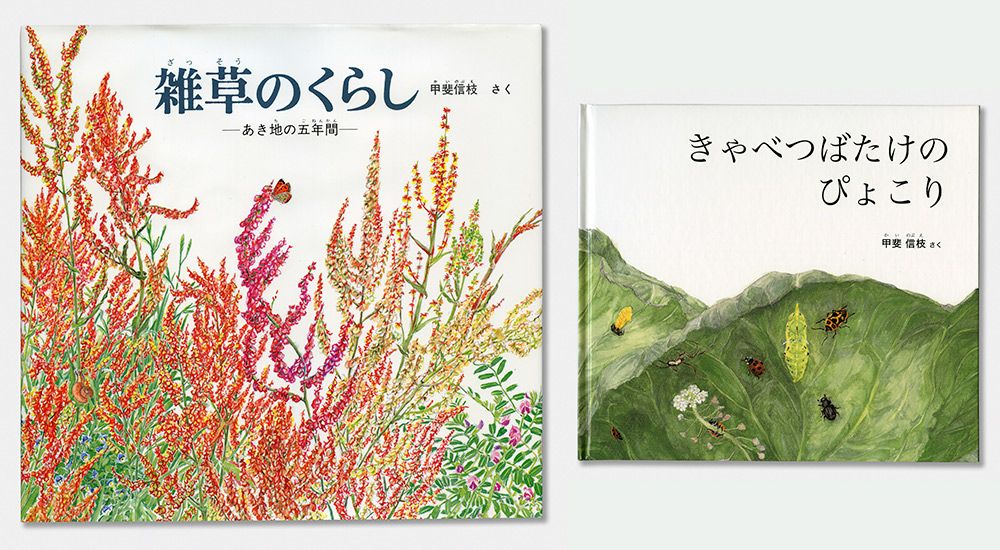 5ページ目）90歳の絵本作家・甲斐信枝「草花や虫たちと根気よく
