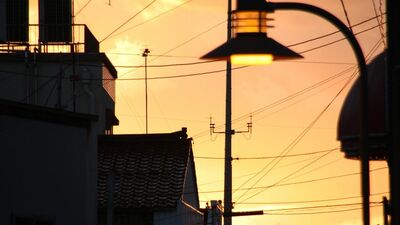 買い物先で聞こえてきた懐かしいメロディ『君の名は』。女手一つで姉と私を育ててくれた母がよく口ずさんでいた曲に、思わず足が止まり