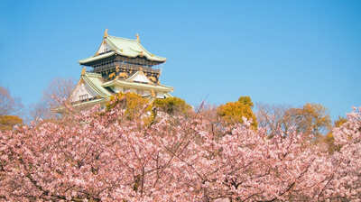 2026年大河ドラマ『豊臣兄弟!』主人公の秀長には、天下人の兄・秀吉のほかに姉妹がいた。妹は家康と豊臣家の縁をつなぐ存在だったが…