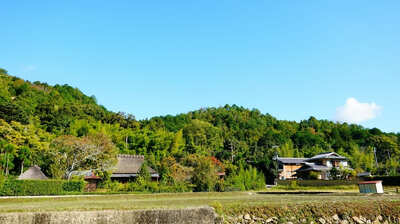 本当に今＜地方移住ブーム＞なのか？分析したらまさかの結果が…専門家「過去には国がブームの到来を予測して期待が外れたことも」