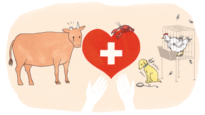 エビを生きたままゆでるのはNG⁉️　動物を愛する国スイス